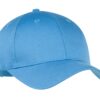 carolina-blue